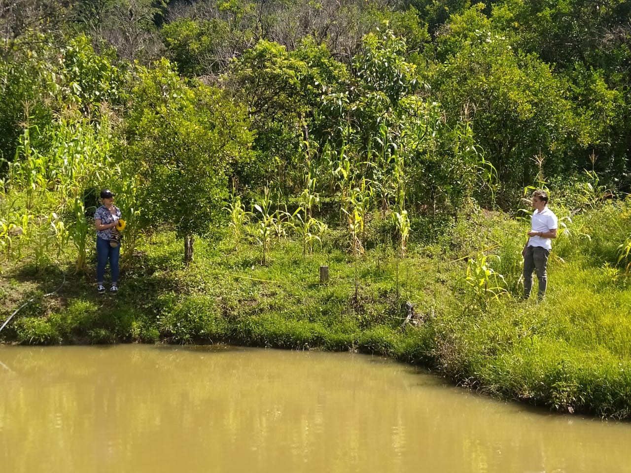 Estudiantes de noveno semestre de la asignatura de Extensión y Desarrollo Rural III midiendo el área de un estanque de producción de Tilapia y Cachama
